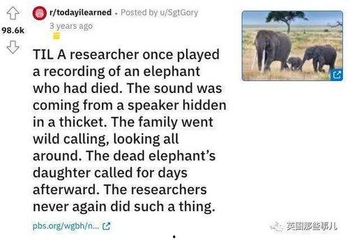 大象新闻爆料情感剧本是真的吗,真相揭秘，是虚构还是真实？